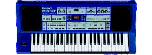 Roland EG-101