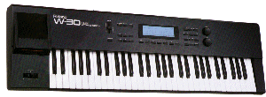 Roland W-30